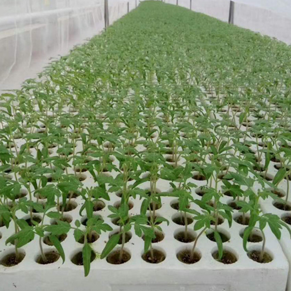 40Pcs Grow Soilless Culture Hy - Hydroponic Kit recension och pris