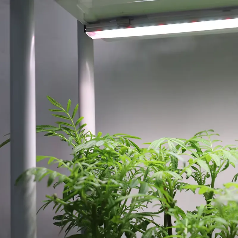 Movable Vertical Grow 3 Level  - Indoor Herb Garden recension och pris