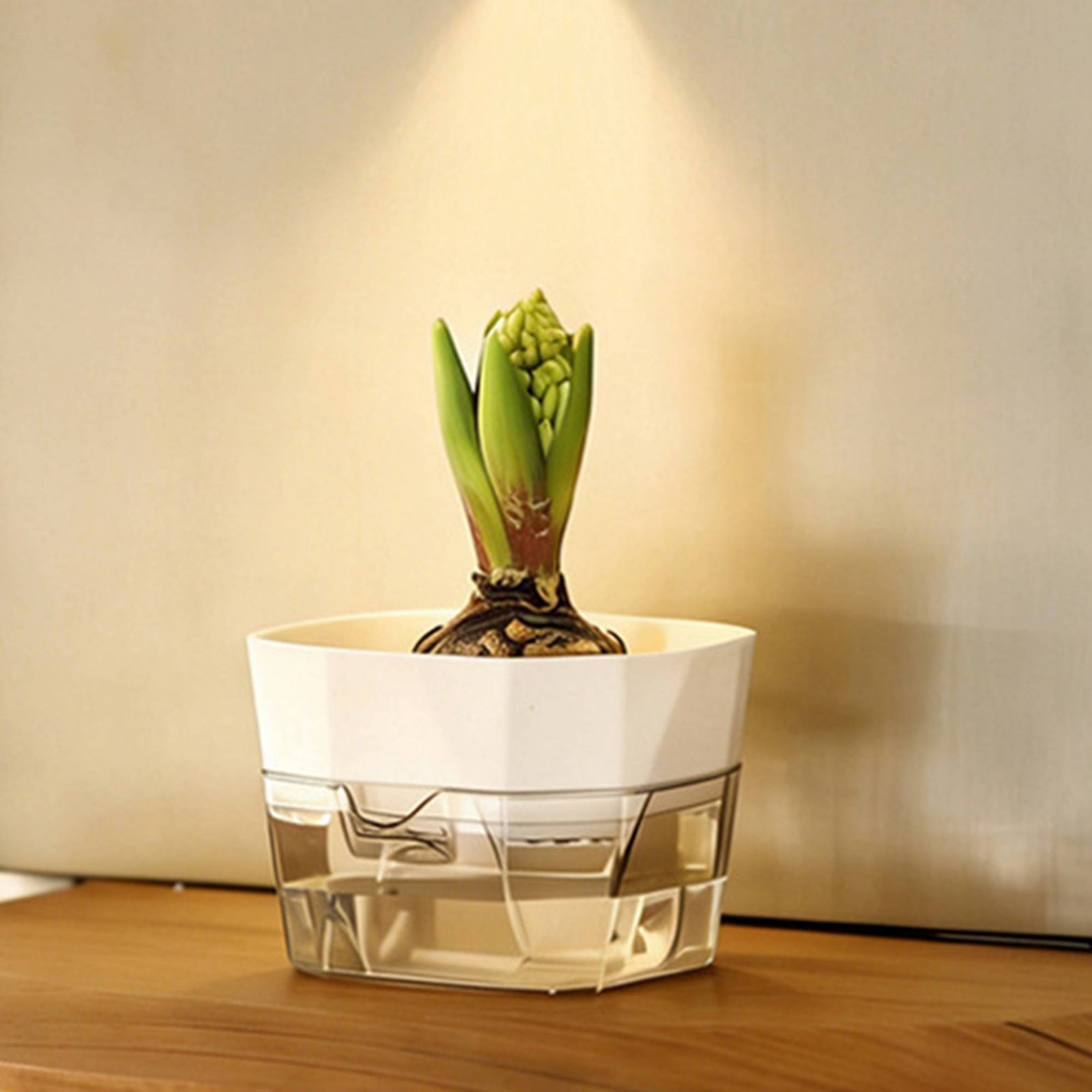 Hydroponic Bulb Vase 2-Tier De - Plant Pot recension och pris