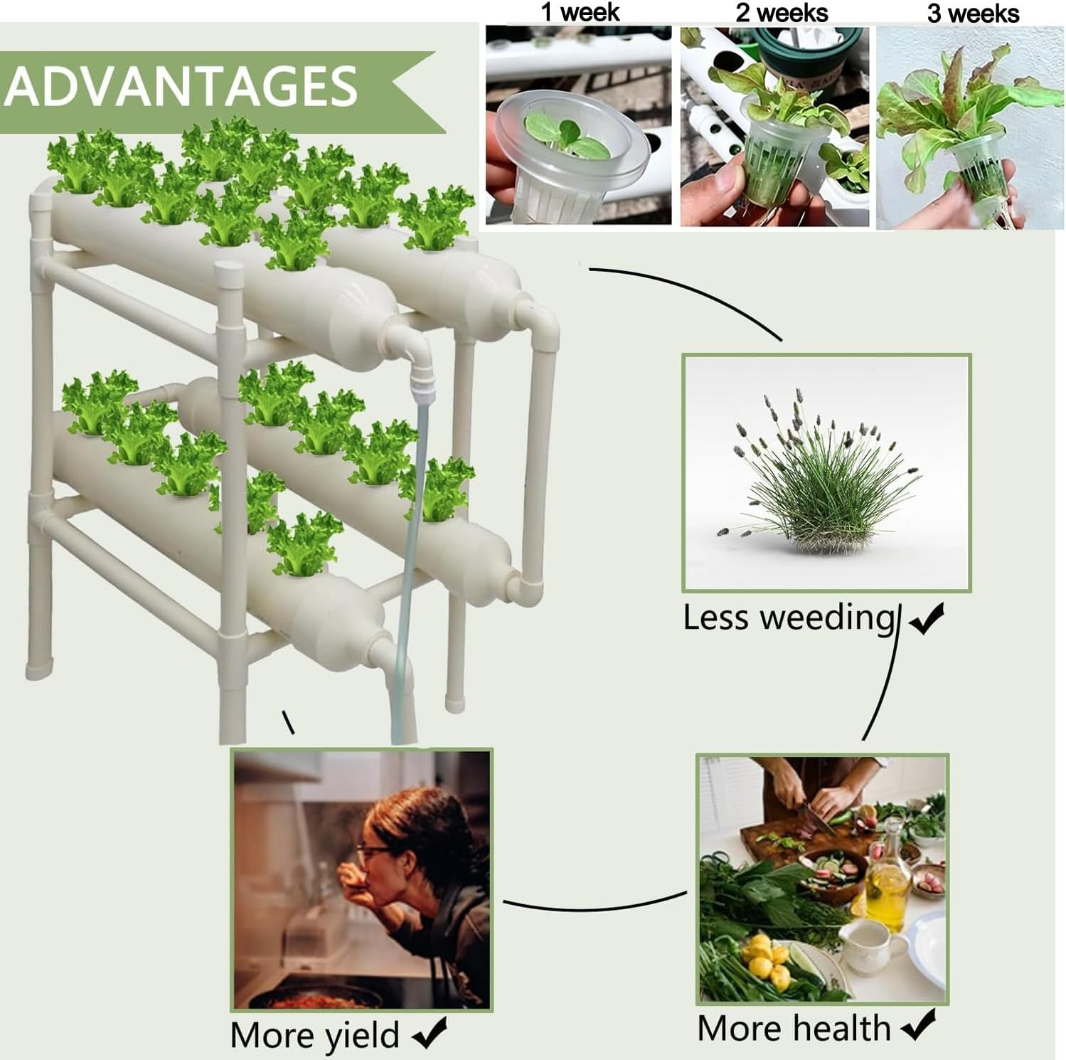 Hydroponic Growing System 20 H - Hydroponic Kit recension och pris