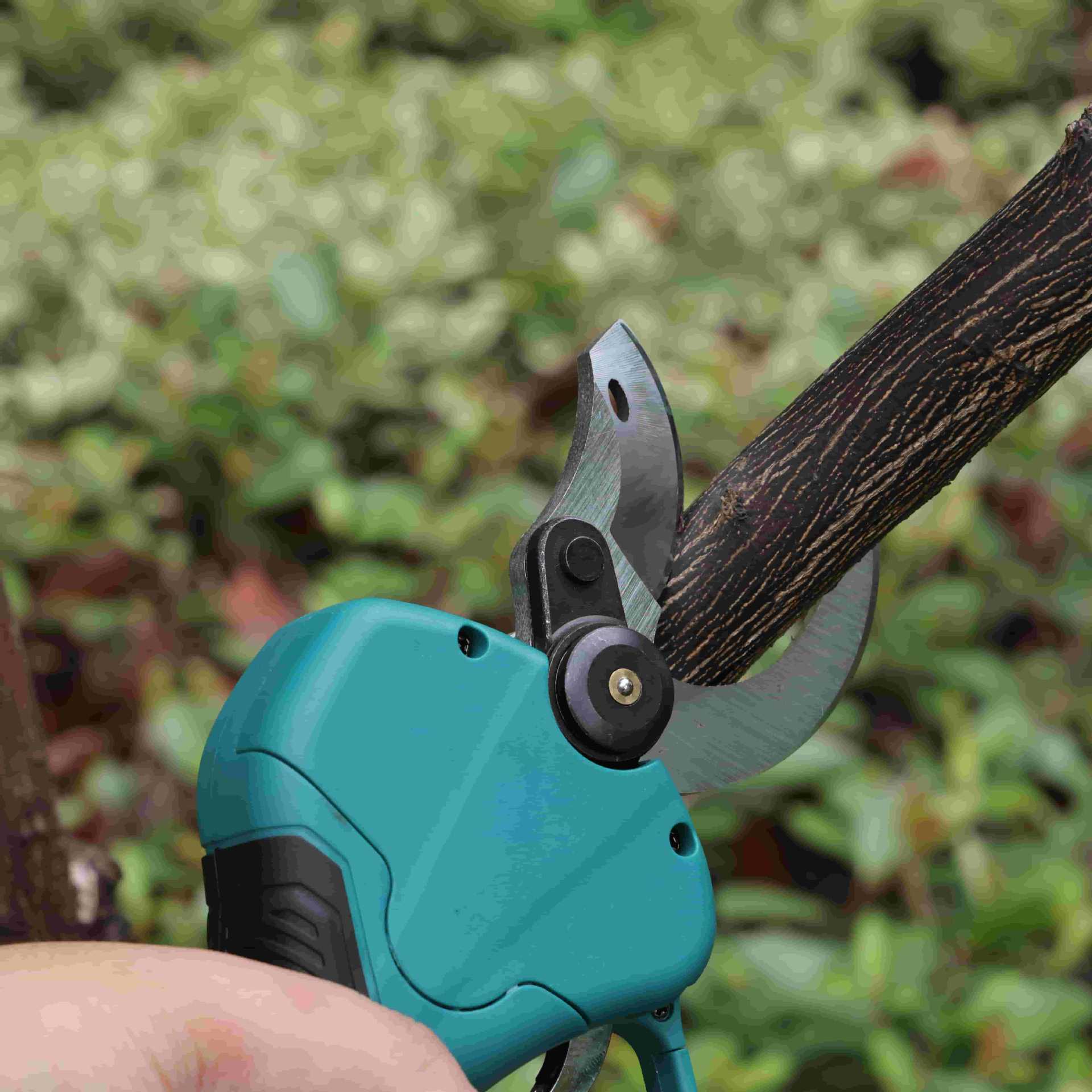High pole garden pruning shear - Pruning Shears recension och pris