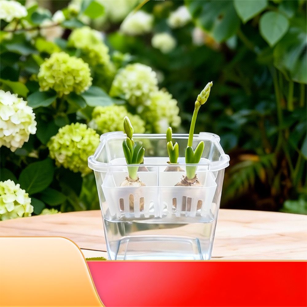 Hydroponic Vase For Tulip Lily - Plant Pot recension och pris