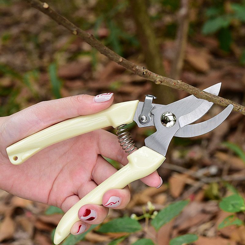 Labor‑Saving Garden Pruning Sh - Pruning Shears recension och pris