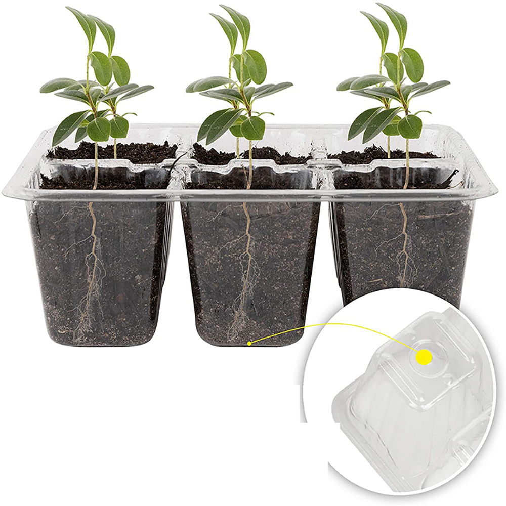Seed Starter Trays with Grow L - Seed Starter Tray recension och pris