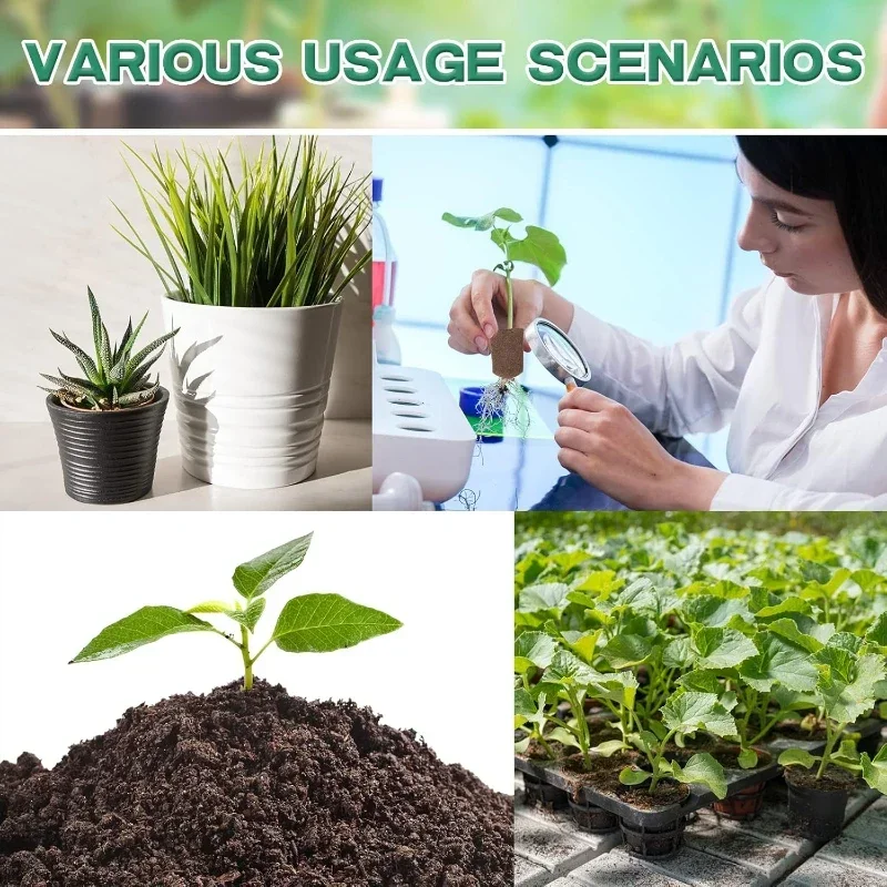 Seedling Starter Sponge Kit fo - Hydroponic Kit recension och pris
