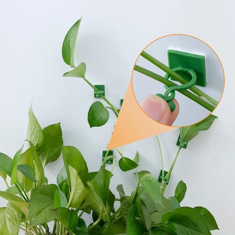 Self‑Adhesive Plant Climbing W - Indoor Herb Garden recension och pris