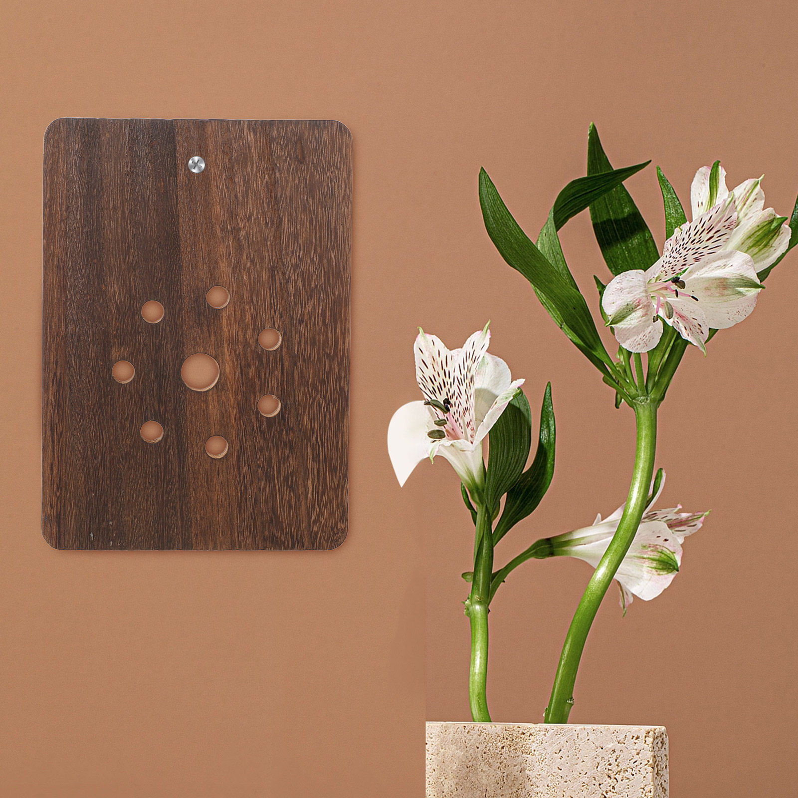 Staghorn Fern Mounting Board S - Vertical Planter recension och pris