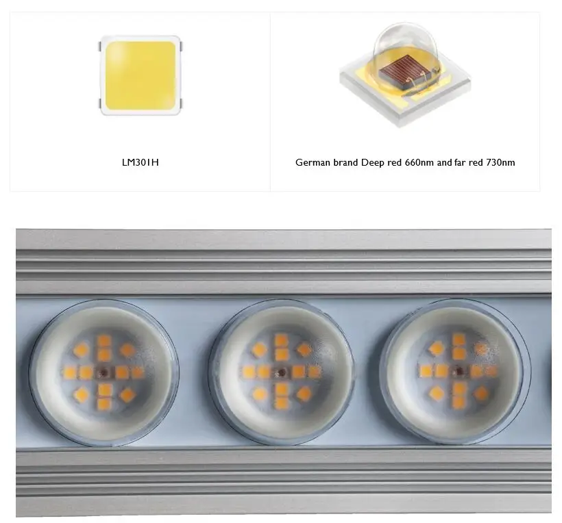 Koray 900W Indoor full spectru - Grow Light Led recension och pris