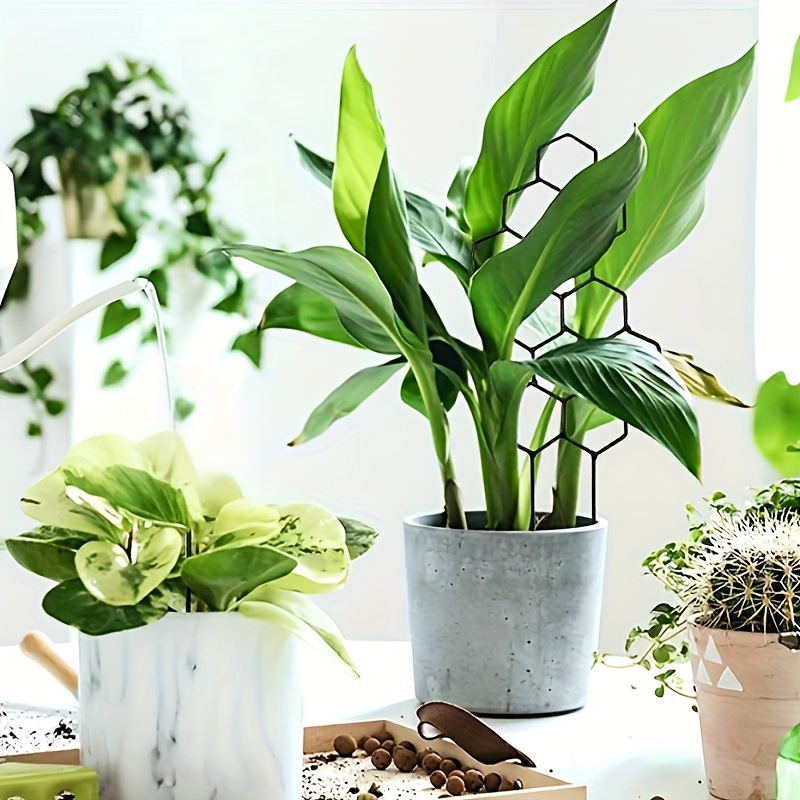 1PC Honeycomb Design Plant Tre - Indoor Herb Garden recension och pris