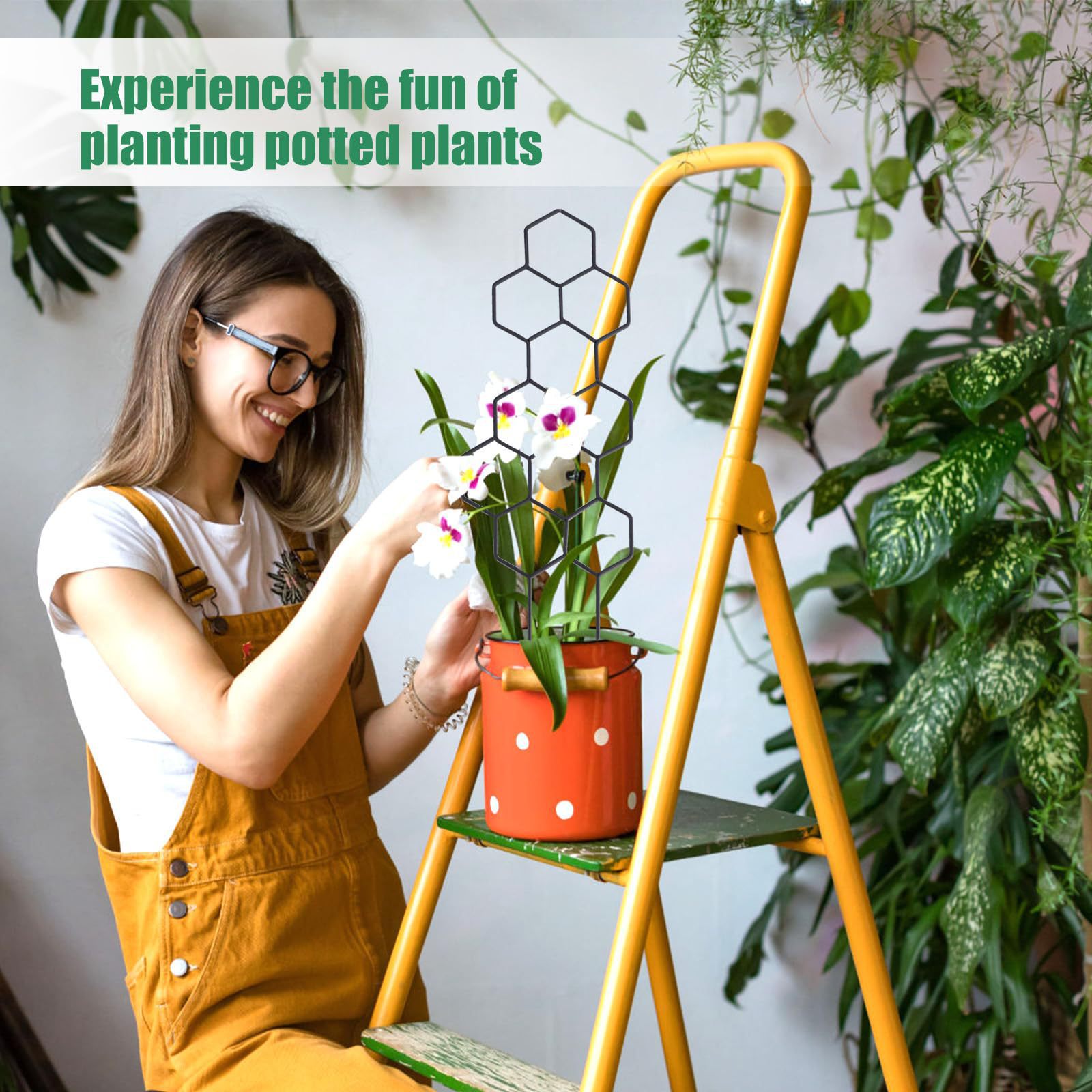 1PC Honeycomb Design Plant Tre - Indoor Herb Garden recension och pris
