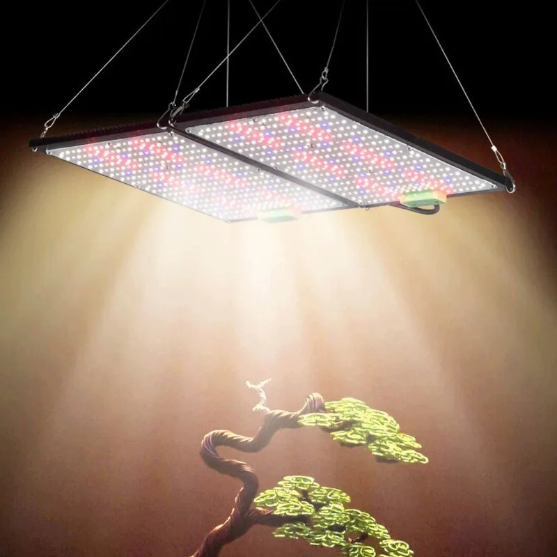 LED Quantum‑Board Grow Light F - Grow Light Led recension och pris